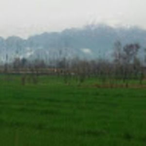 Meet your Posher, Aftab